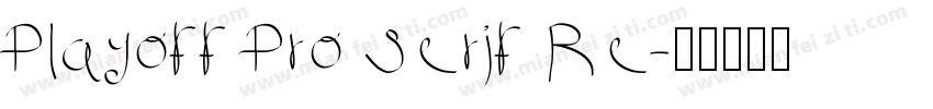 Playoff Pro Serif Re字体转换